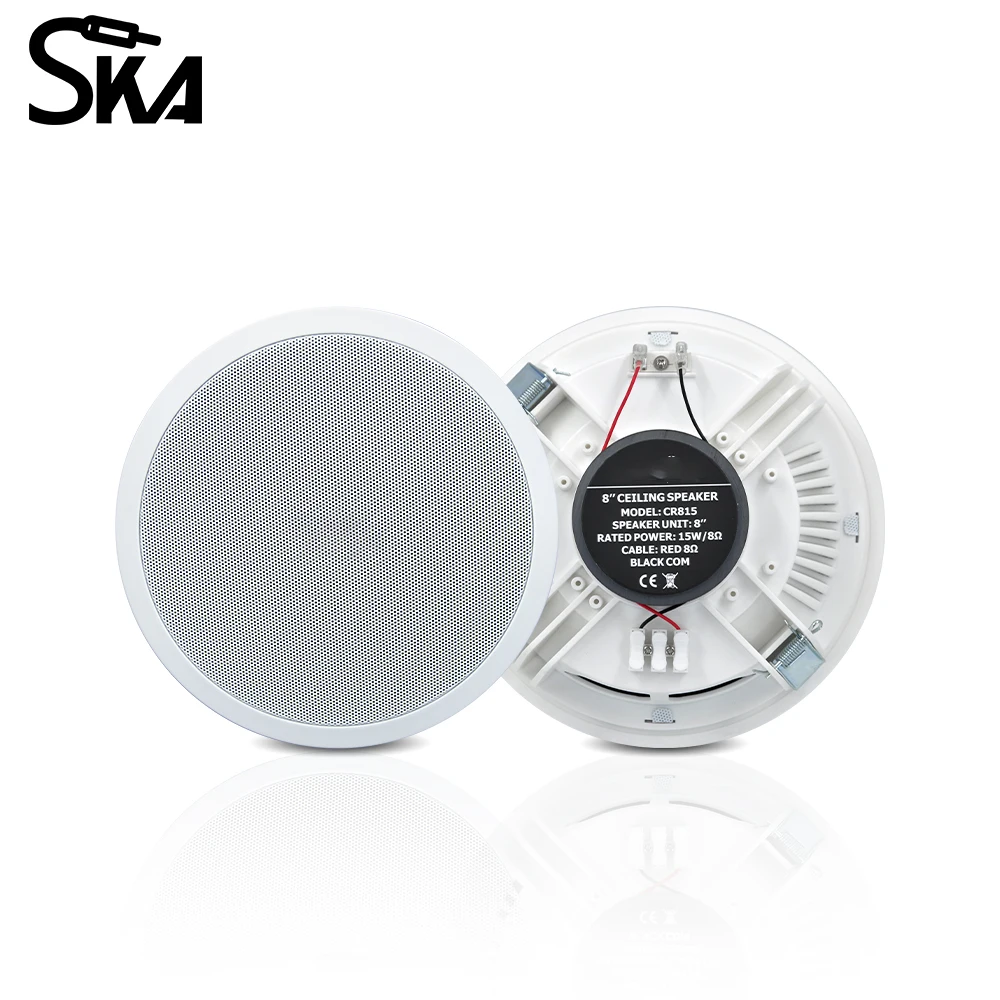 PW4420T+CR815 Smart Home Audio – Audio Music In Background Bewertung und Preis