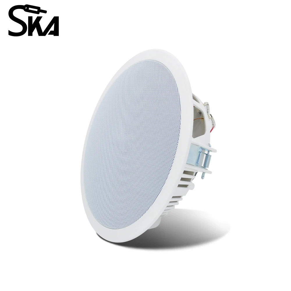 PW4420T+CR815 Smart Home Audio – Audio Music In Background Bewertung und Preis