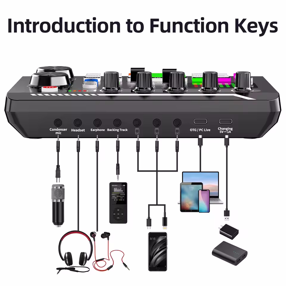 Professionelle Mikrofon Mic Bl – Audio Music Voice Changer Bewertung und Preis