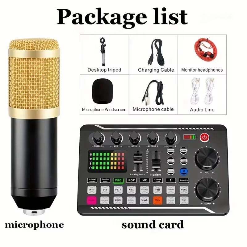 Kondensatormikrofon, professio – Audio Music Voice Changer Bewertung und Preis