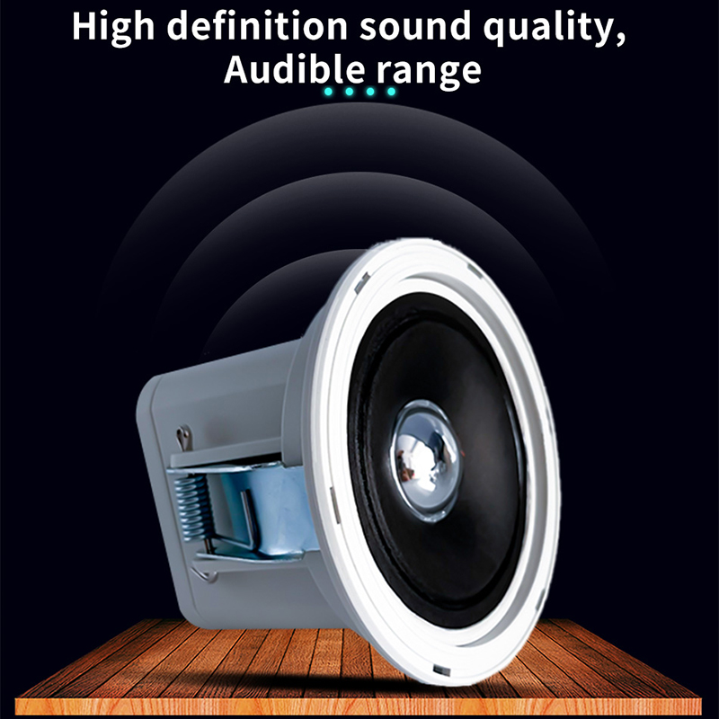 2-Zoll Mini 8 Ohm Deckenlautsp – Audio Music In Background Bewertung und Preis