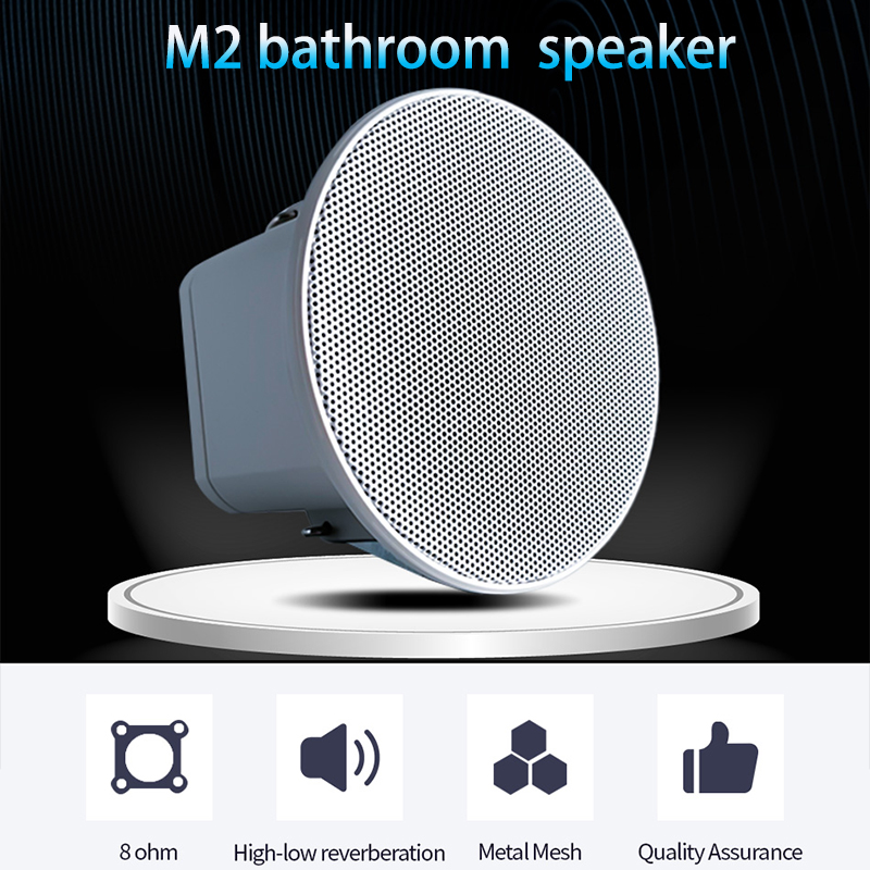 2-Zoll Mini 8 Ohm Deckenlautsp – Audio Music In Background Bewertung und Preis